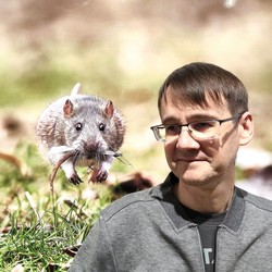 Константин МорозовСпециалист по GMP, аудитор фармацевтических предприятий