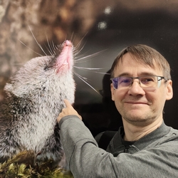 GMP-инспекции производителей ветпрепаратов в июле-октябре 2025 года 1 Константин Морозов, специалист по GMP, аудитор фармацевтических предприятий