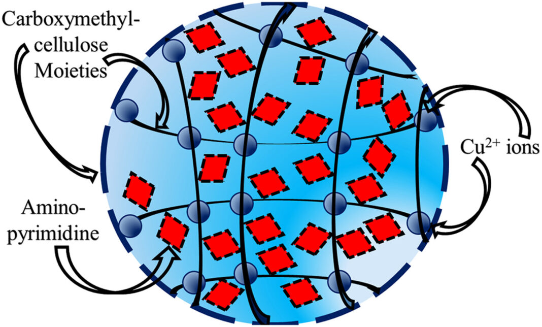 20220707_n Ученые МГУ нашли более эффективный носитель для противоопухолевых средств