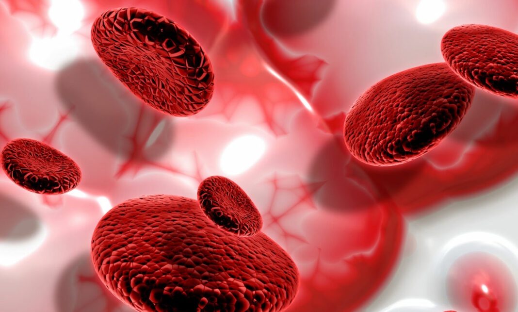 3d-render-blood-cells кровь