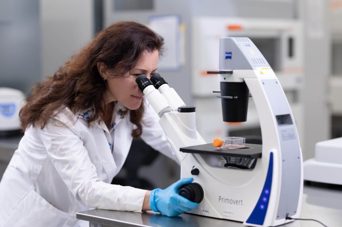 В университете «Сириусе» В университете «Сириусе»