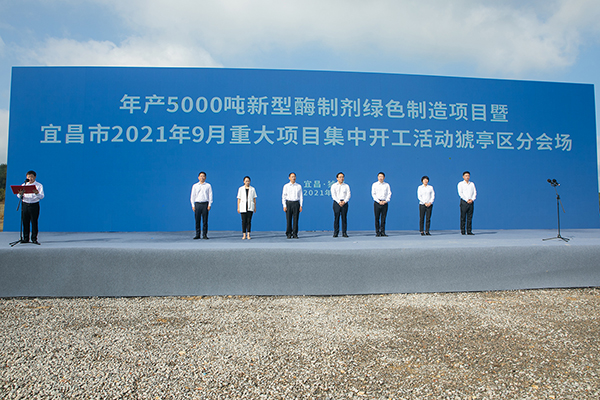 AngelEnzymePreparation Angel Yeast