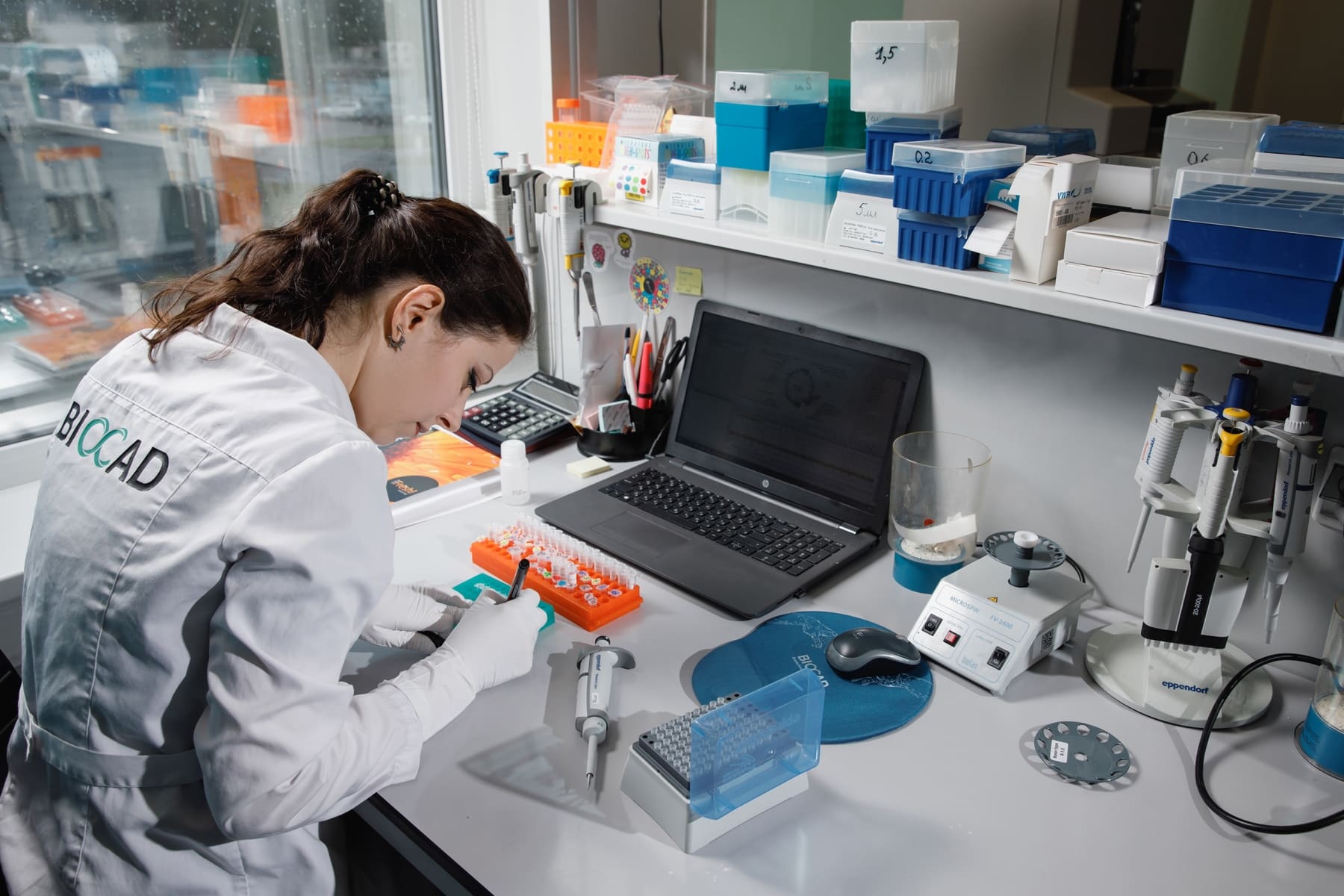 Biocad-lab-13 BIOCAD