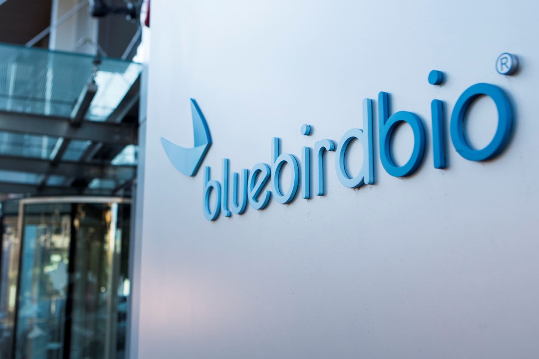 Bluebird-gene-therapy