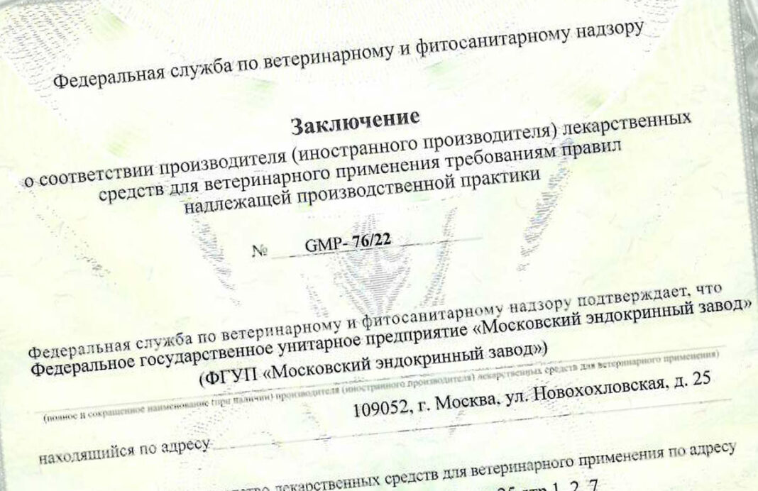 GMP-sert заключение о соответствии требованиям GMP