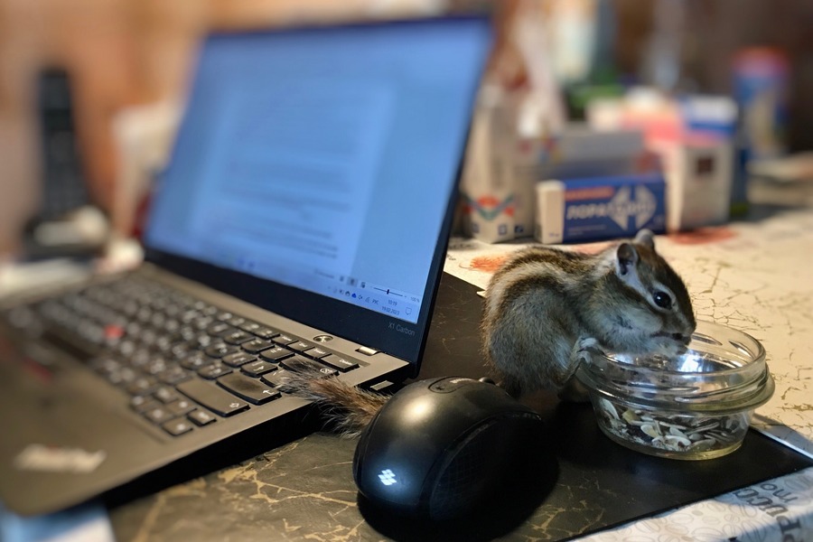 Все, что вы всегда хотели знать об упаковке, но боялись спросить (Q&A) Все, что вы всегда хотели знать об упаковке, но боялись спросить (Q&A)