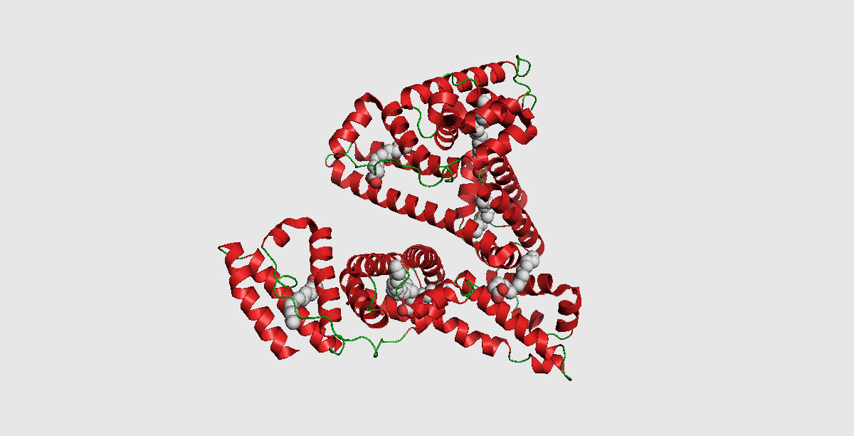 albumin Альбумин