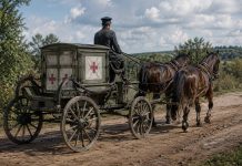 Транспортирование лекарственных средств – начало Аптечная повозка образца 1799 года