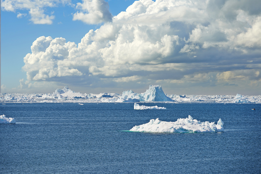 Арктика Арктика