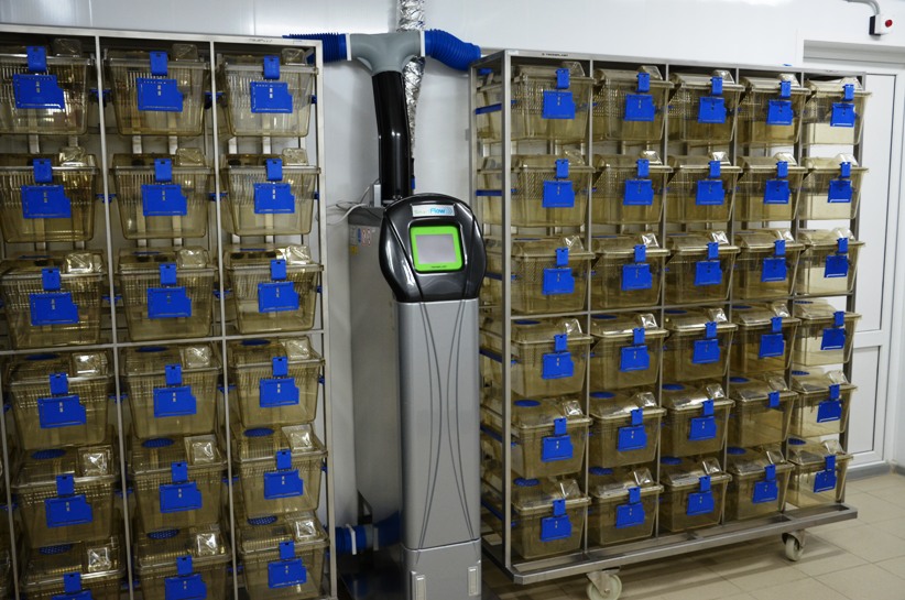 НИУ “БелГУ”