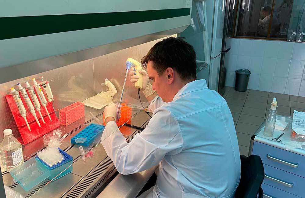 betulin антибактериальное соединение на основе бетулина