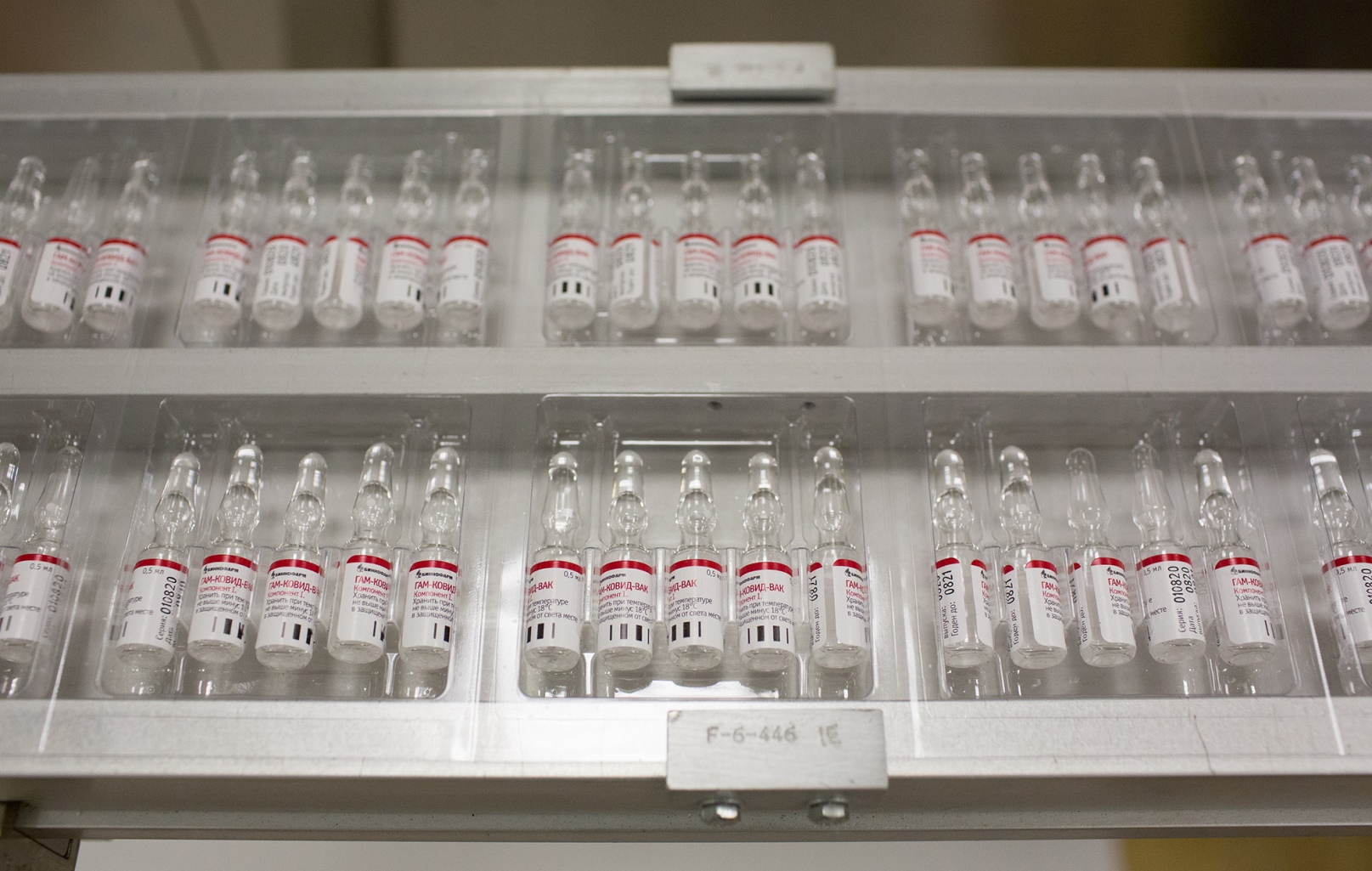 binnofarm-sputnik-v-zavod Спутник V экспорт