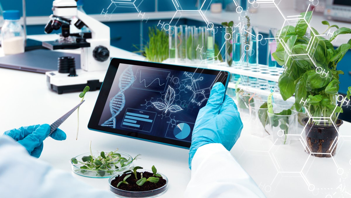 применение эфиромасличных и лекарственных растений