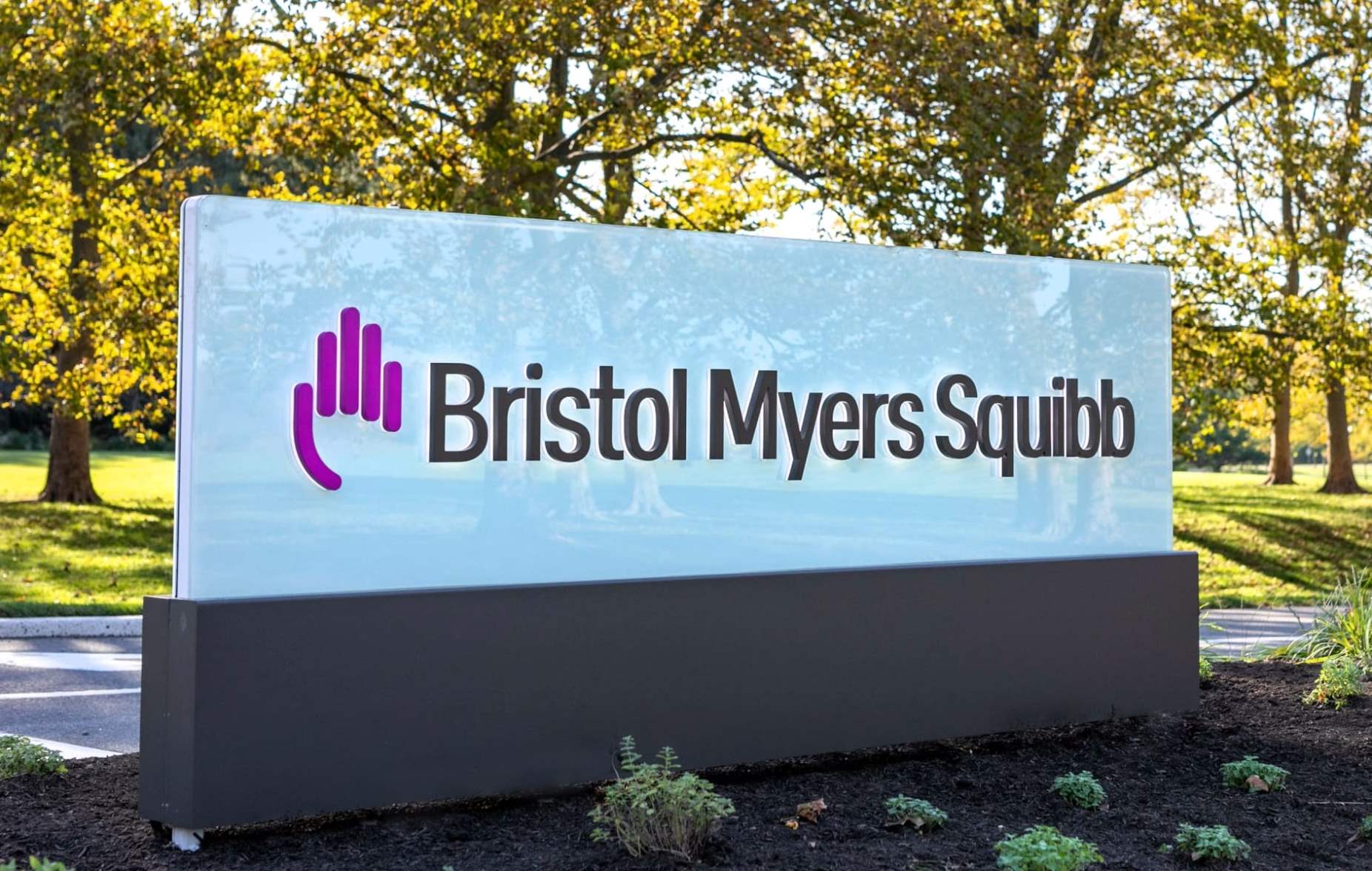 bms-bristol-myers-squibb