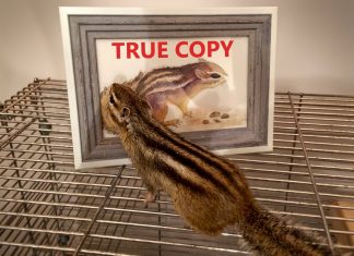 «А какие у вас документы?» Новая версия главы 4 EU GMP True Copy