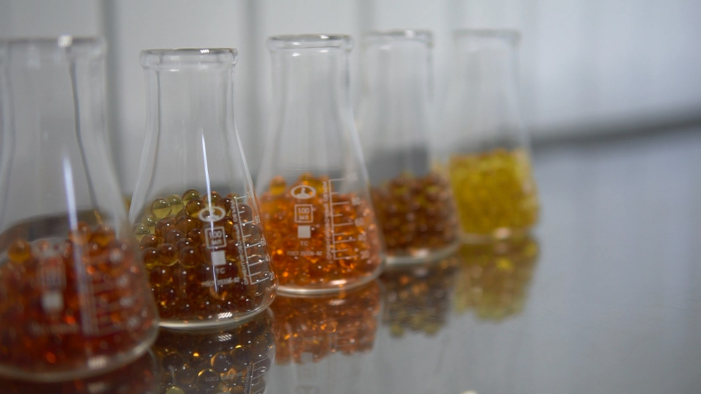 capsules капсулы