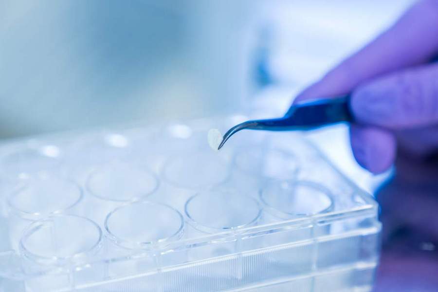 биомедицинские клеточные продукты биомедицинские клеточные продукты