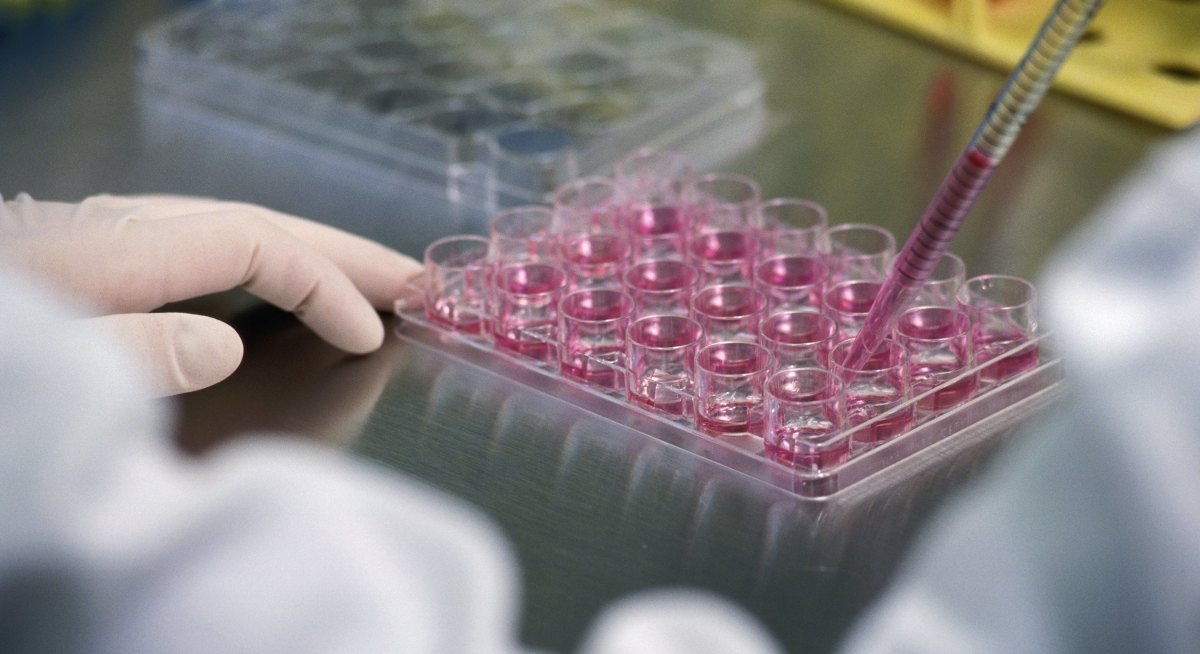 Клеточная технология