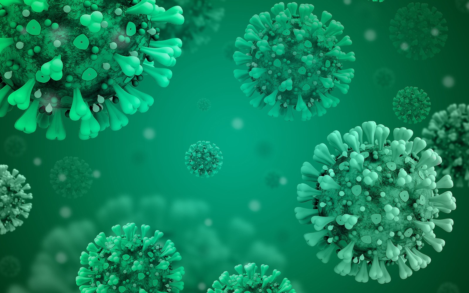 coronavirus-disease-covid-2019 covid-19