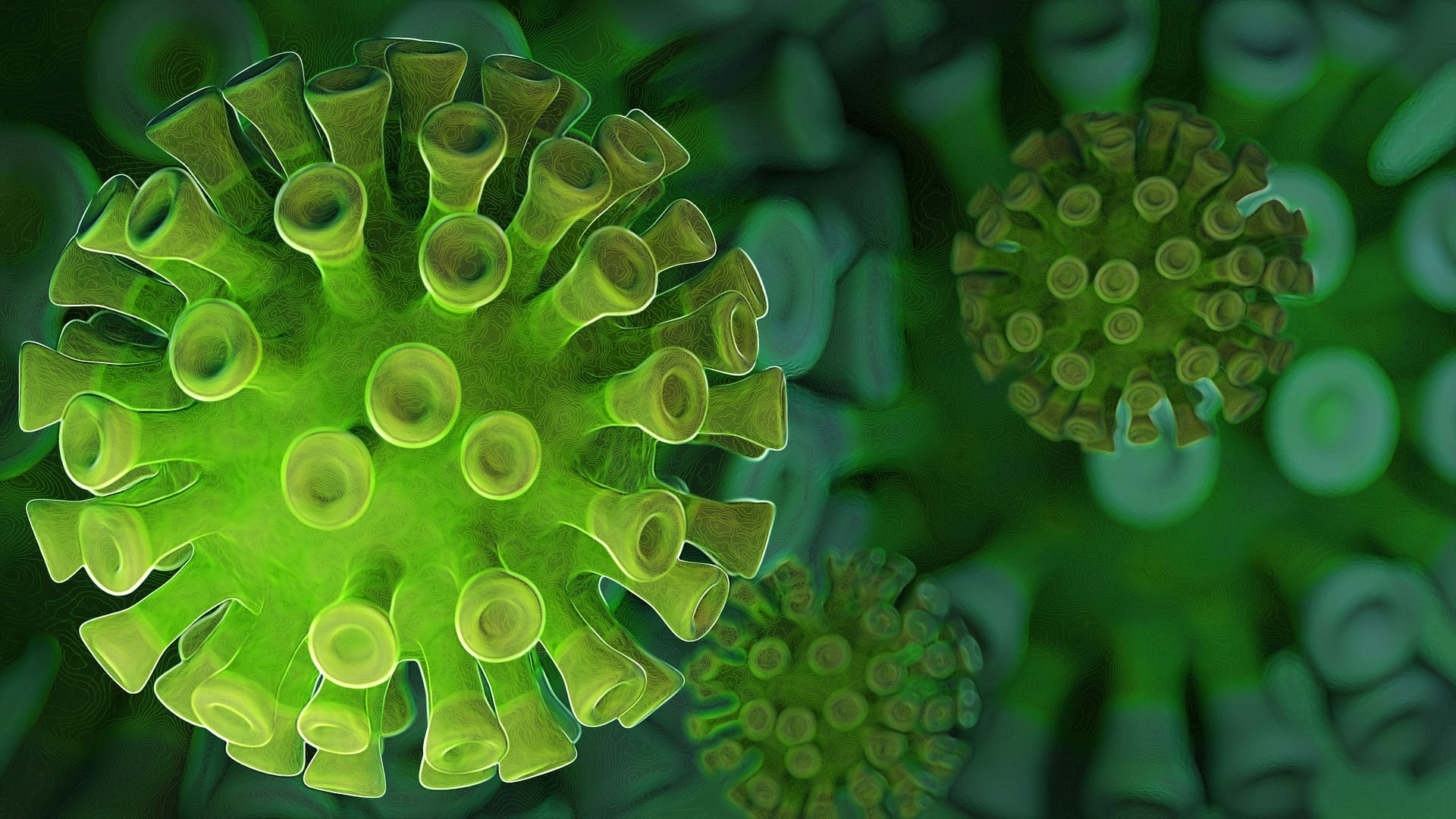 coronavirus-research Коронавирус