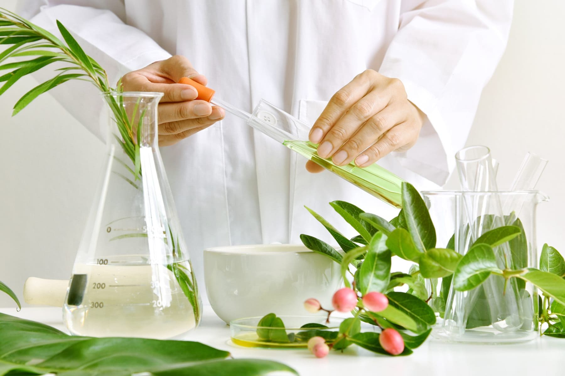 extracts-plant Растительные экстракты, исследования