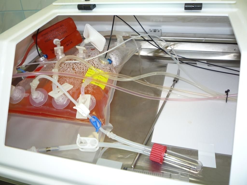 fermenter_2 Ферментер с одноразовыми сосудами культивирования