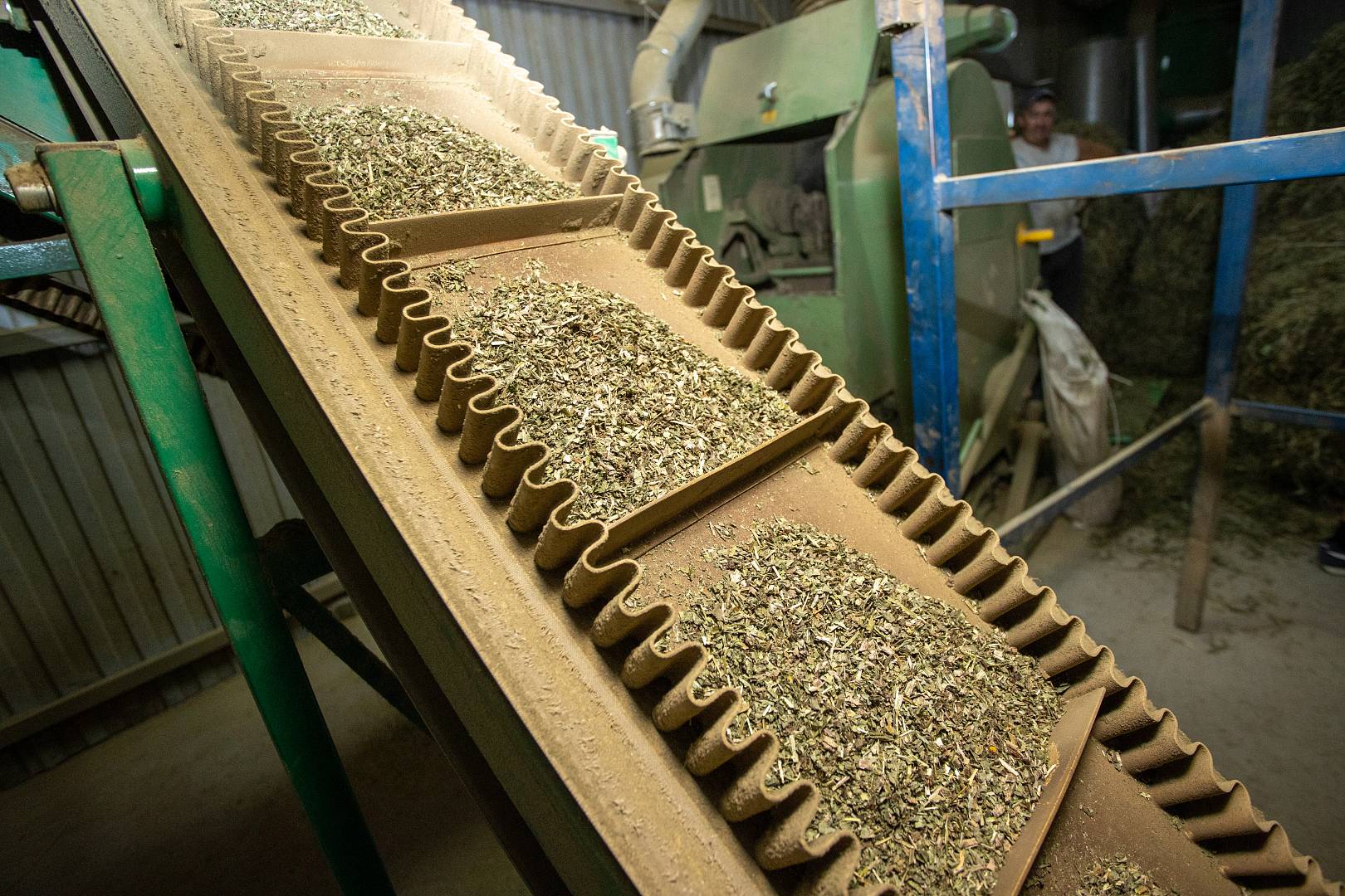 Компания «Фитофарм» планирует открыть фармацевтический завод до конца года 2023 года 2 Фармацевтический завод «Фитофарм» в Гостагаевской планируется открыть до конца 2023 года