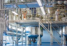 ГЕРОФАРМ инвестирует 100 млн рублей в расширение производства пептидных субстанций в Петербурге ГЕРОФАРМ в Пушкине