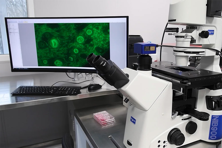 GMP лаборатория научно-производственный комплекс клеточных технологий класса GMP