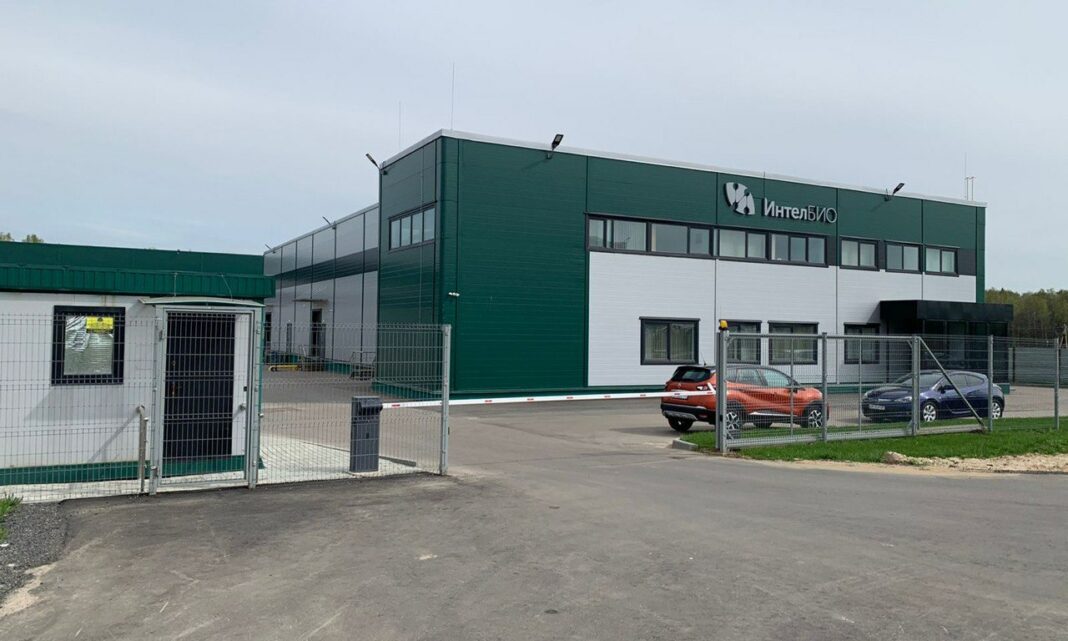 intelbio ИнтелБио