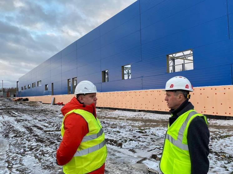 Инновационное производство БАДов запустят в Кондопожском районе в 2025 году Инновационное производство БАДов запустят в Кондопожском районе в 2025 году