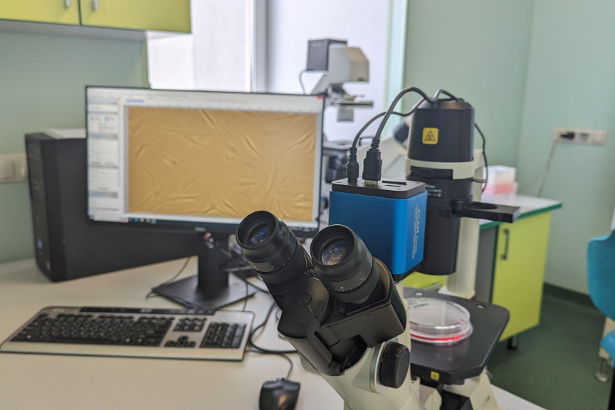 моделирование лекарств