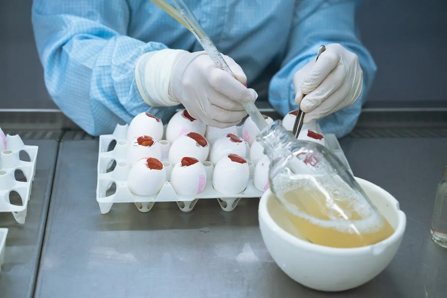 Лаборатория ВНИИЗЖ Лаборатория ВНИИЗЖ