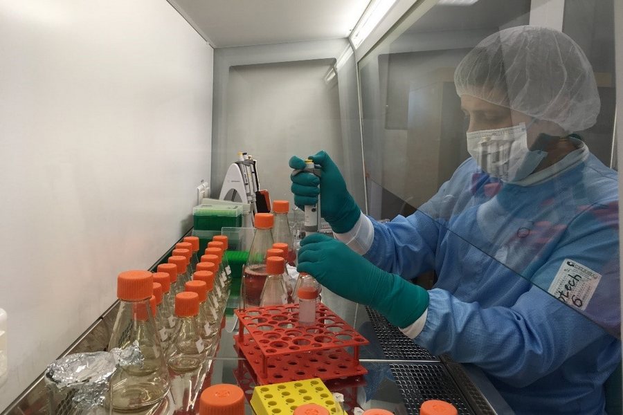 Мабскейл Мабскейл