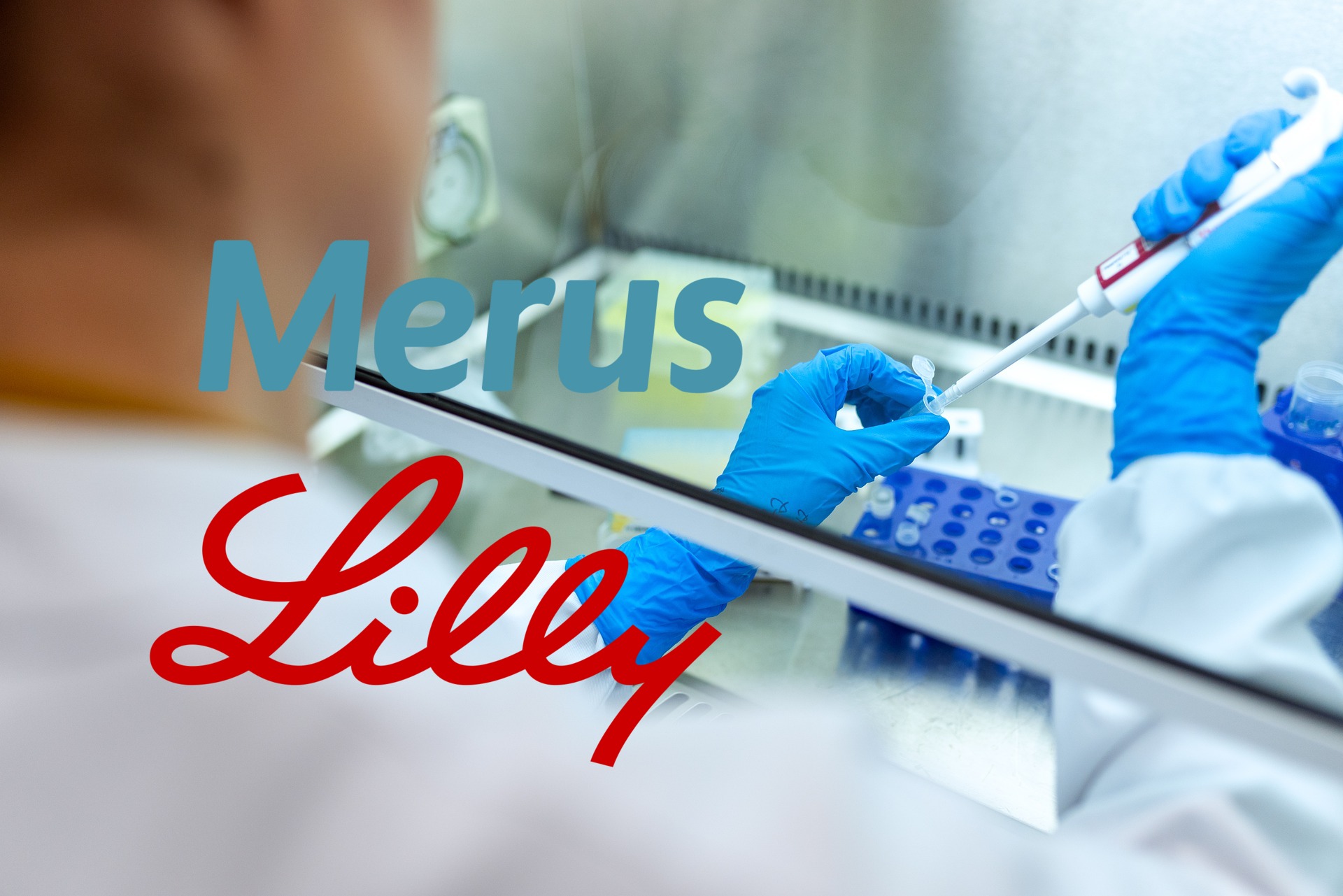 merus-lilly