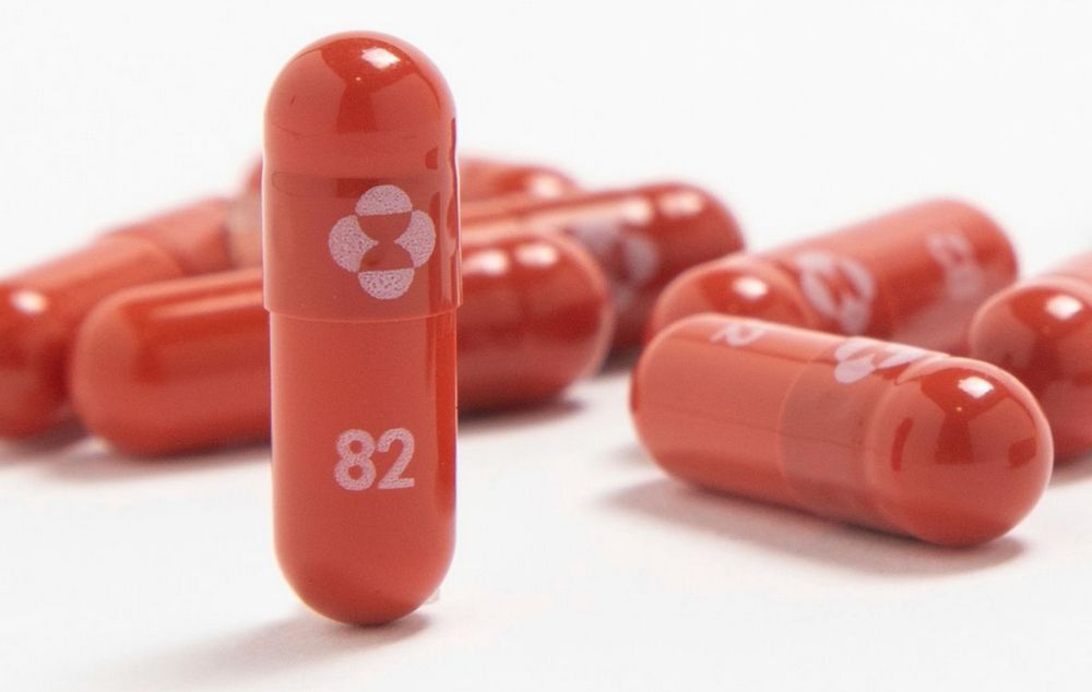 molnupiravir-3 Молнупиравир