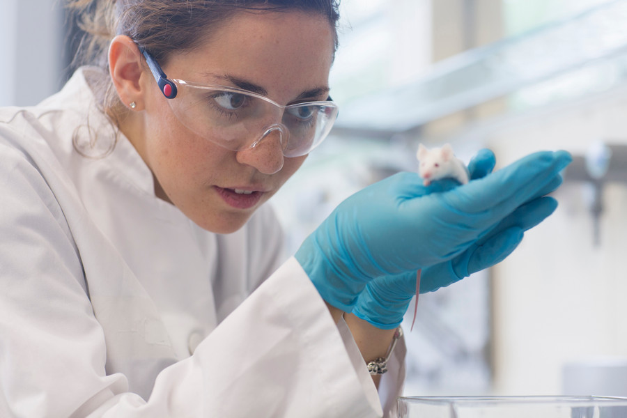 Исследования Исследования