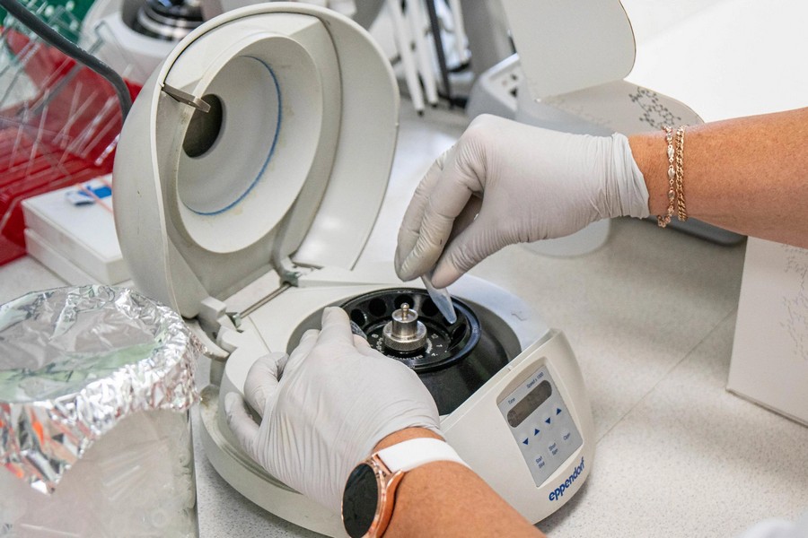 НИОХ СО РАН планирует начать производство препараты от оспы  НИОХ СО РАН планирует начать производство препараты от оспы