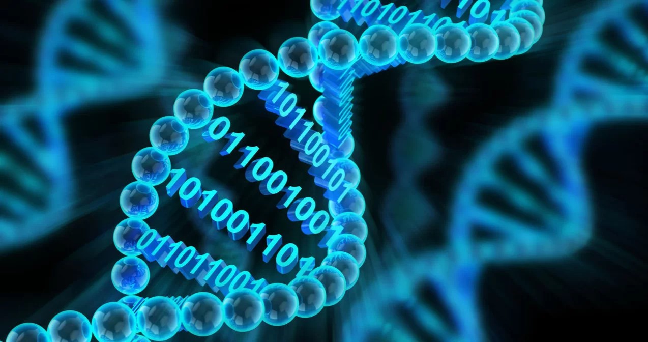 noroot Система-БиоТех