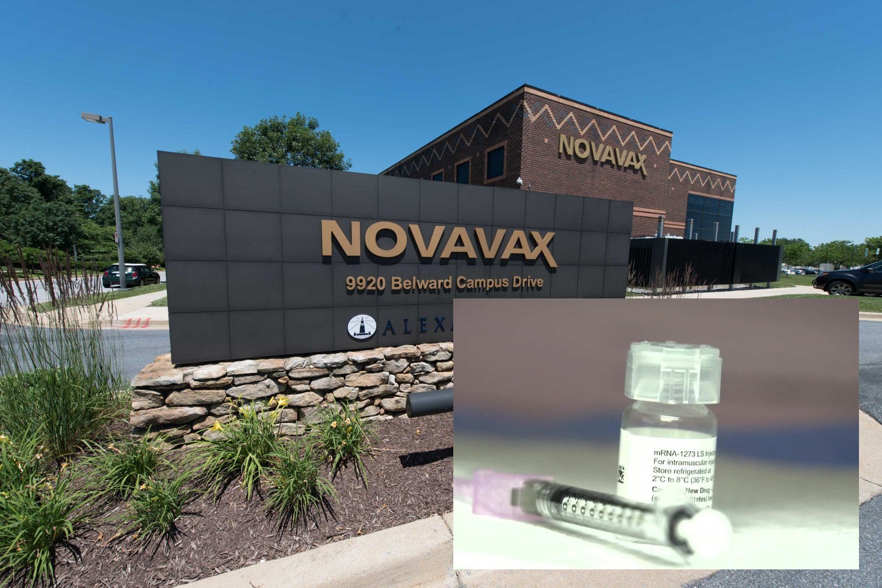 novavax-vaccine