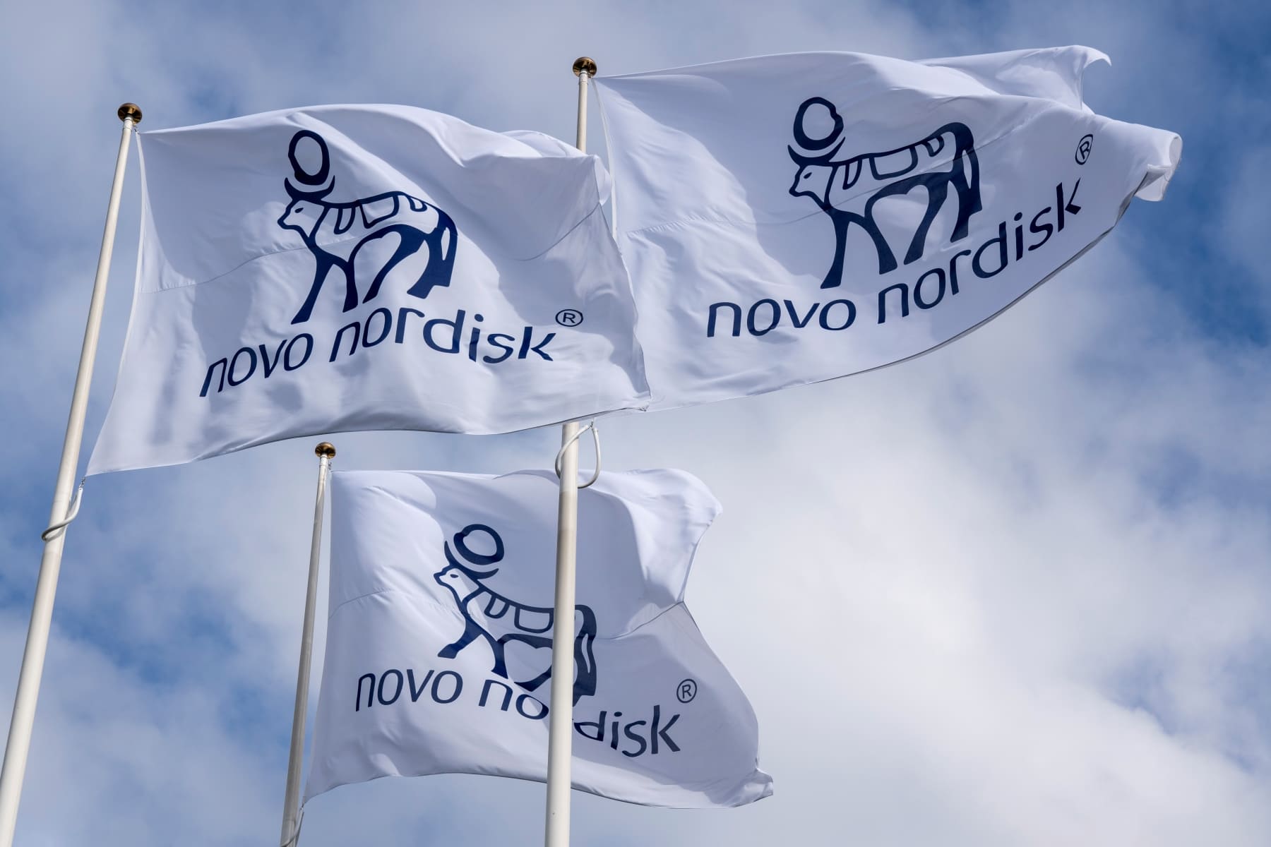 novo-nordisk-flag