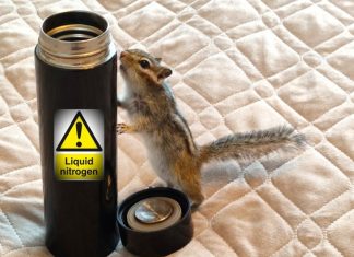 О «бедном» Дьюаре замолвите слово