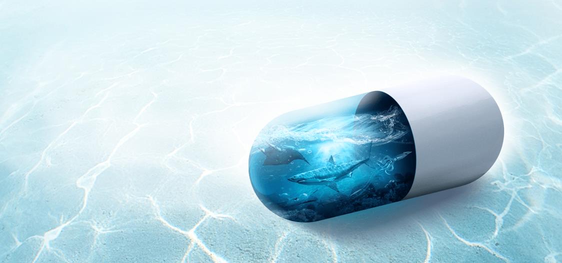 pharmocean pharmocean