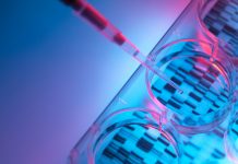 Разработана линия клеток для замещения зарубежного препарата от диабета