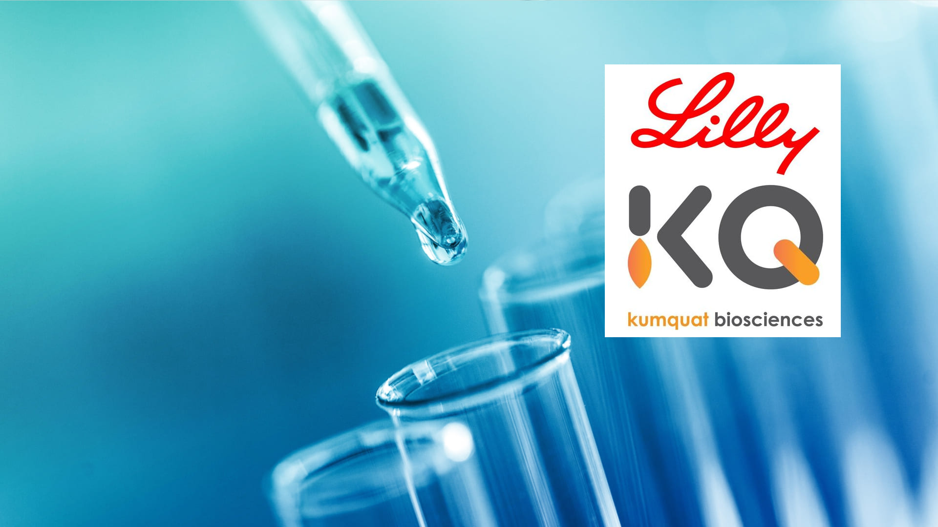 research-lilly-kumquat