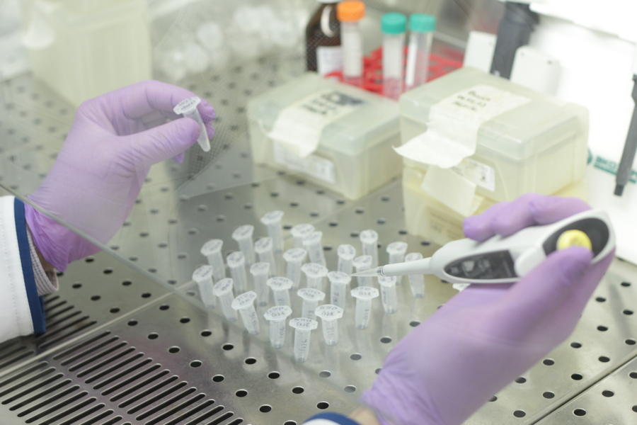 разработка препарата разработка препарата