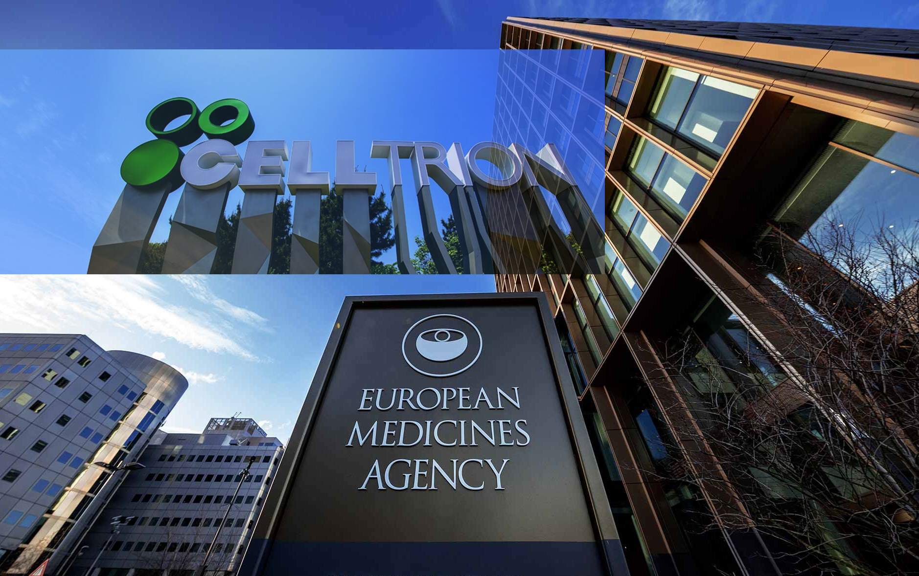 review-EMA-Celltrion