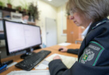 Ветфарма под цифровым колпаком: «Честный знак» выявил 950 нелегальных продавцов экспертиза Россельхознадзора