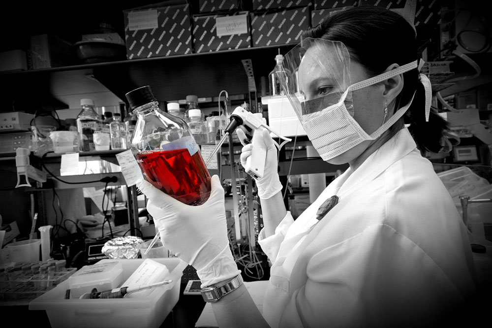 shutterstock_6660664