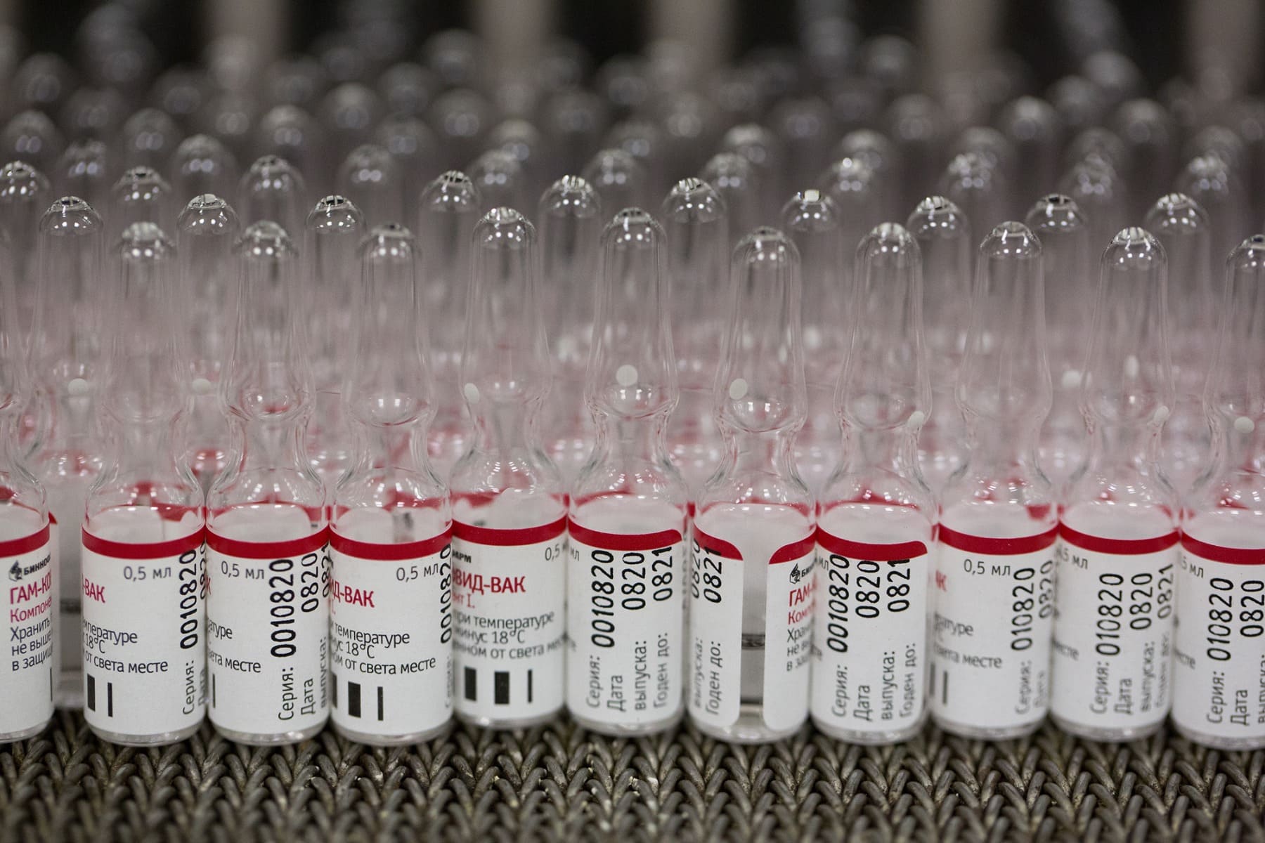sputnik-v-binnofarm-linia производство вакцины